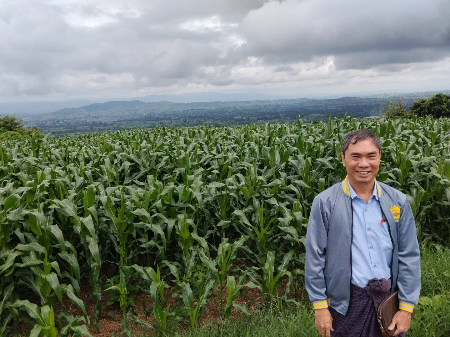 မြန်မာ့ Organic စိုက်ပျိုးရေးခြံတွင် သီးနှံများ ပြုစုနေသည့် လယ်သမား